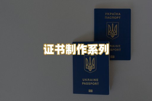 证书制作系列
